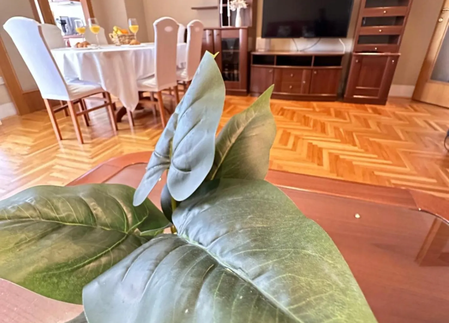 Apartment Forty Two Zadar